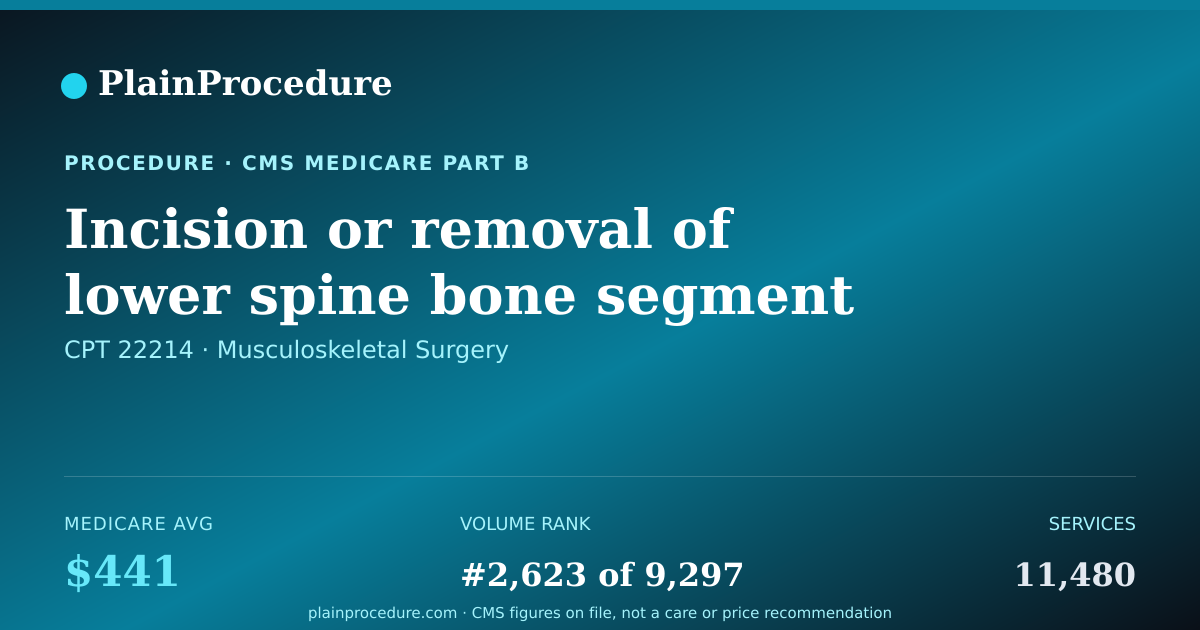 Shareable card for Incision Or Removal Of Lower Spine Bone Segment