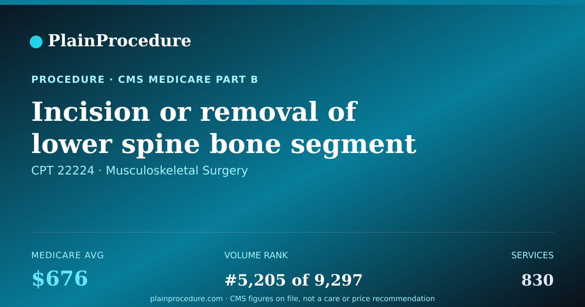 Shareable card for Incision Or Removal Of Lower Spine Bone Segment And Removal Of Disc