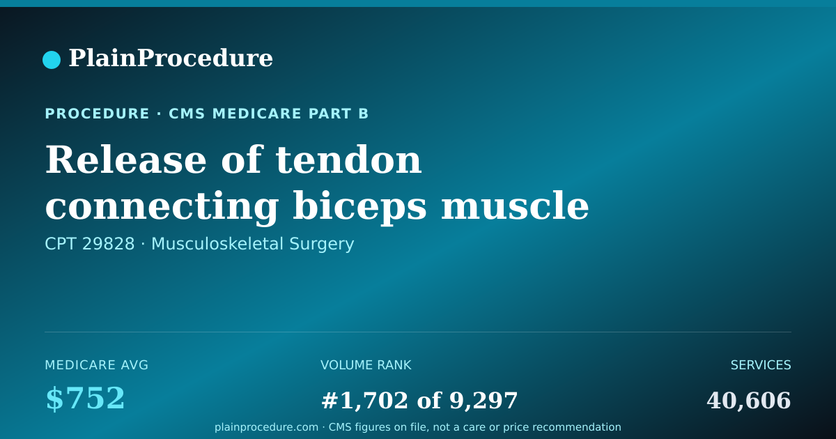 Shareable card for Release Of Tendon Connecting Biceps Muscle And Shoulder Using An Endoscope