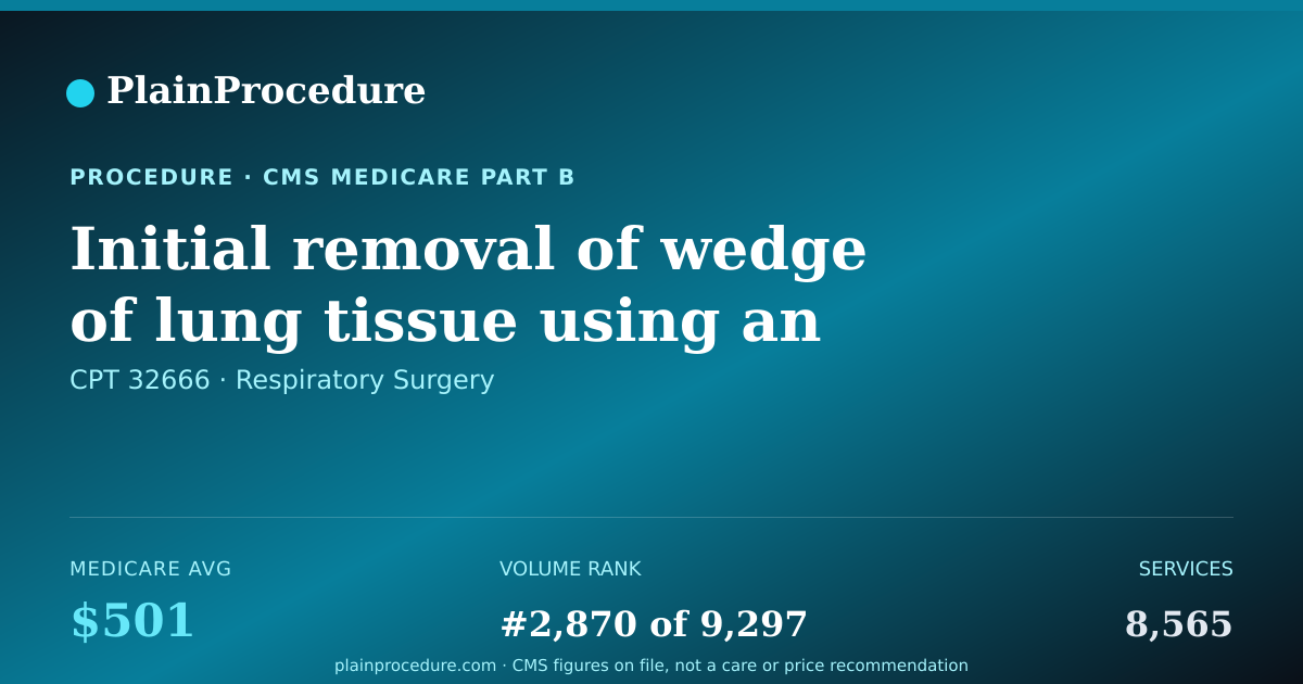 Shareable card for Initial Removal Of Wedge Of Lung Tissue Using An Endoscope