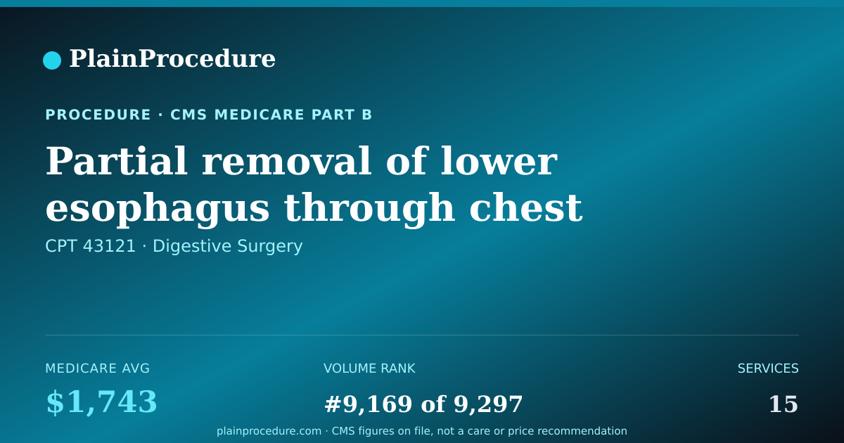 Shareable card for Partial Removal Of Lower Esophagus Through Chest