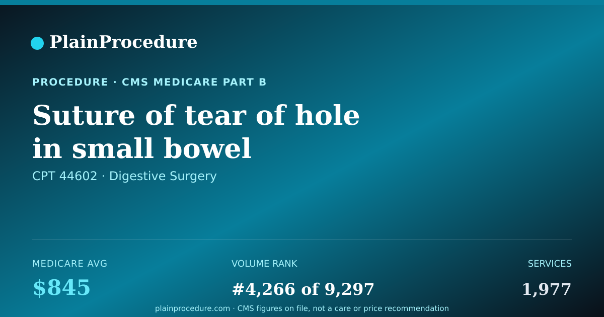 Shareable card for Suture Of Tear Of Hole In Small Bowel