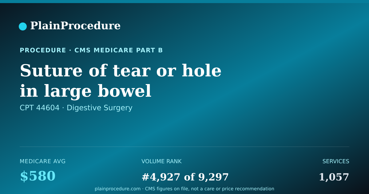 Shareable card for Suture Of Tear Or Hole In Large Bowel