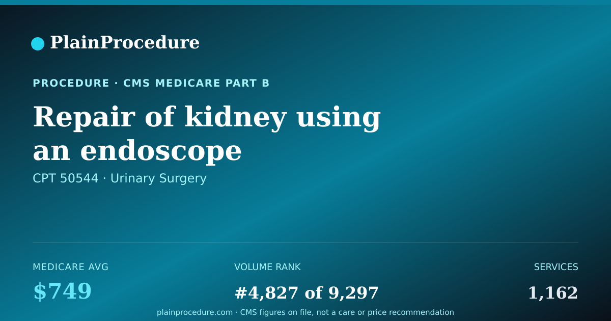 Shareable card for Repair Of Kidney Using An Endoscope