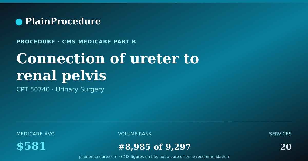 Shareable card for Connection Of Ureter To Renal Pelvis
