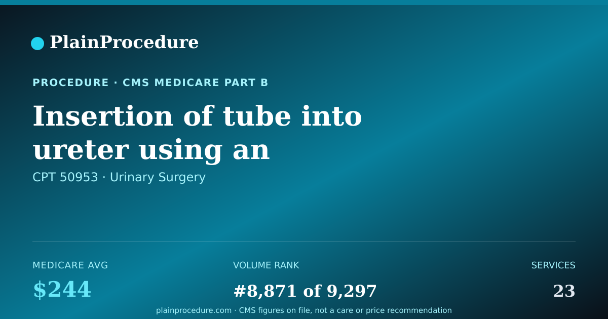 Shareable card for Insertion Of Tube Into Ureter Using An Endoscope Inserted Through An Already Created Opening In Ureter