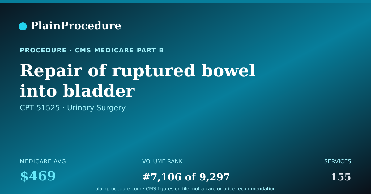 Shareable card for Repair Of Ruptured Bowel Into Bladder