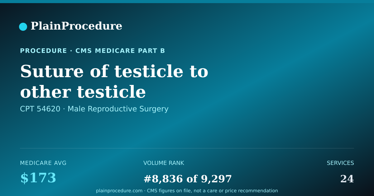 Shareable card for Suture Of Testicle To Other Testicle