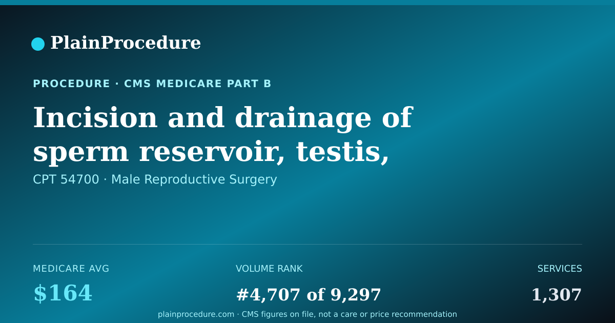 Shareable card for Incision And Drainage Of Sperm Reservoir, Testis, And/or Scrotal Area