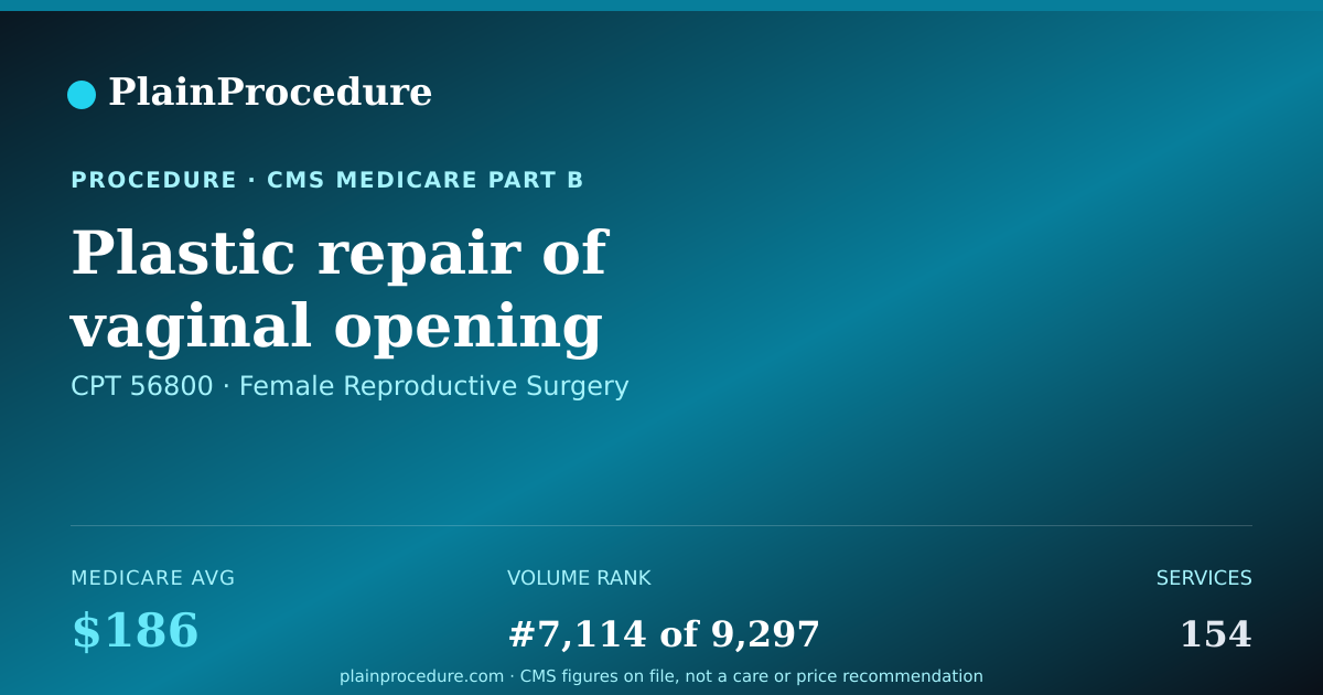 Shareable card for Plastic Repair Of Vaginal Opening