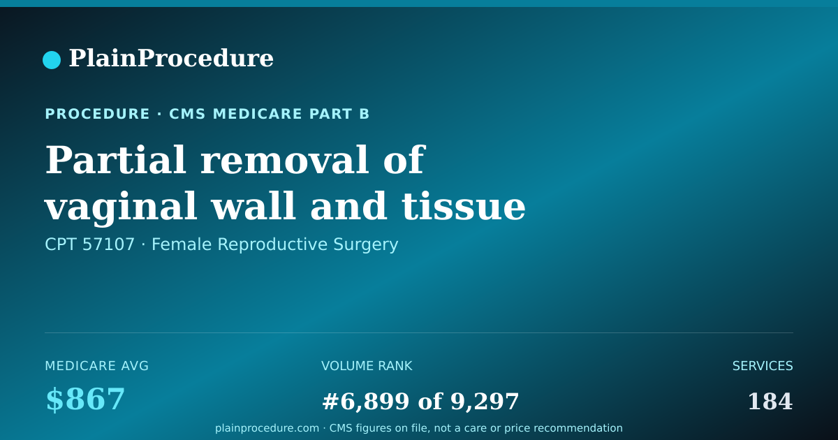 Shareable card for Partial Removal Of Vaginal Wall And Tissue