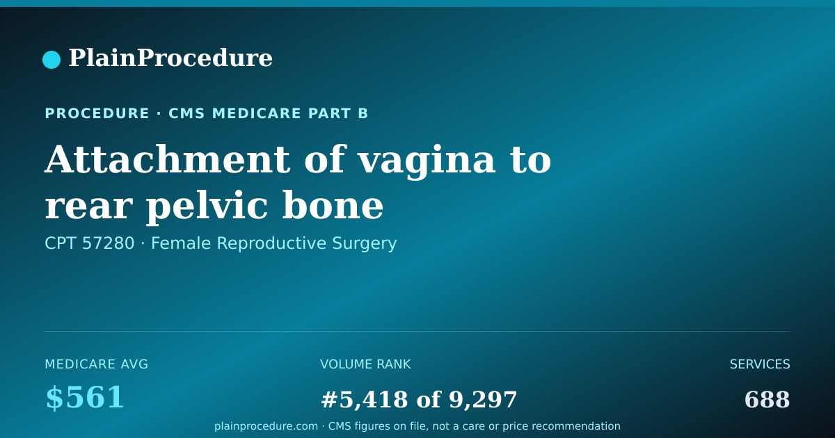 Shareable card for Attachment Of Vagina To Rear Pelvic Bone