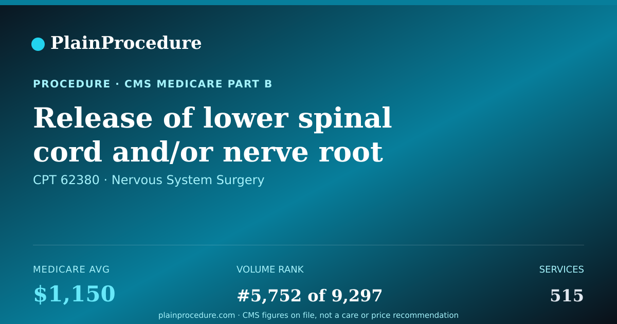 Shareable card for Release Of Lower Spinal Cord And/or Nerve Root Using Endoscope
