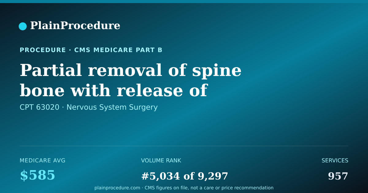 Shareable card for Partial Removal Of Spine Bone With Release Of Upper Spinal Cord Or Nerves And/or Removal Of Disc, 1 Interspace