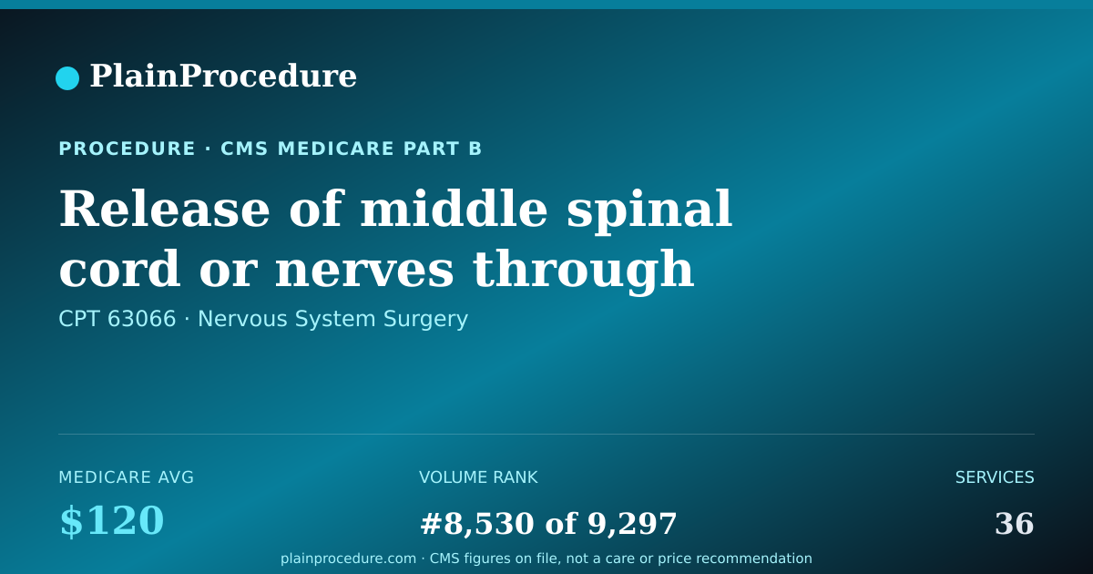 Shareable card for Release Of Middle Spinal Cord Or Nerves Through Rib And Spine Joint, Each Additional Segment