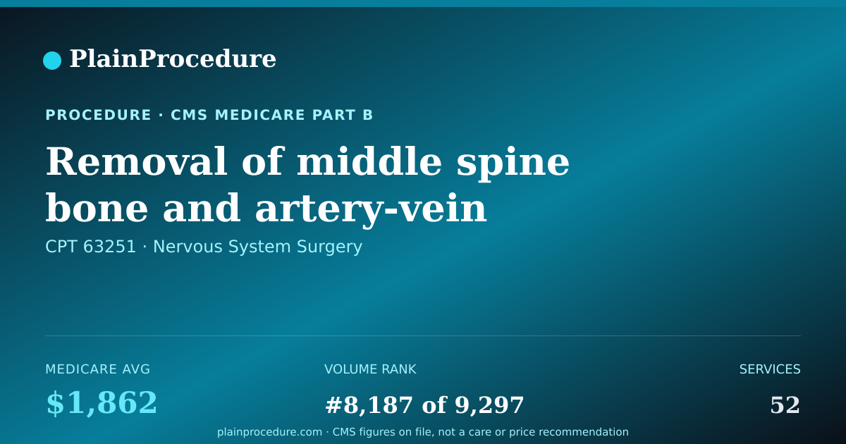 Shareable card for Removal Of Middle Spine Bone And Artery-Vein Malformation