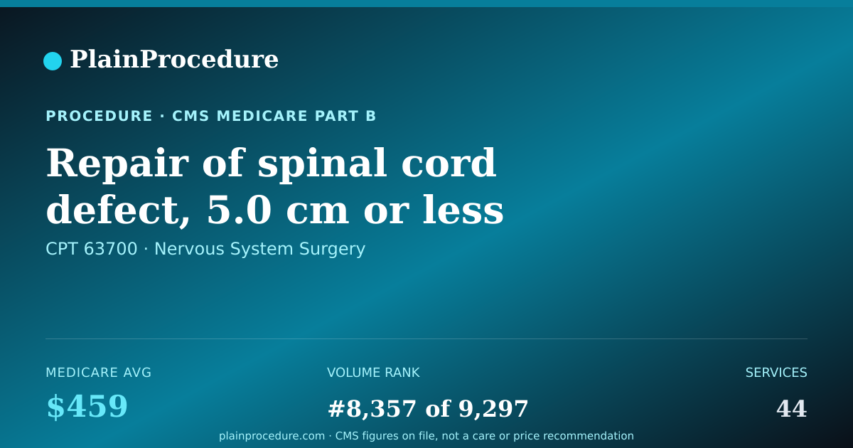 Shareable card for Repair Of Spinal Cord Defect, 5.0 Cm Or Less